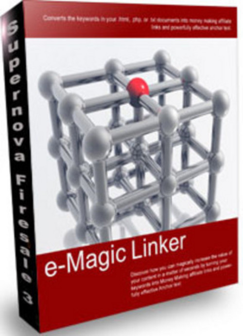Product picture *NEW* E Magic Linker 2011