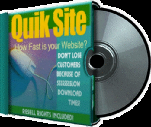 Product picture *NEW*Quik Site How Fast Is Your Website 2011