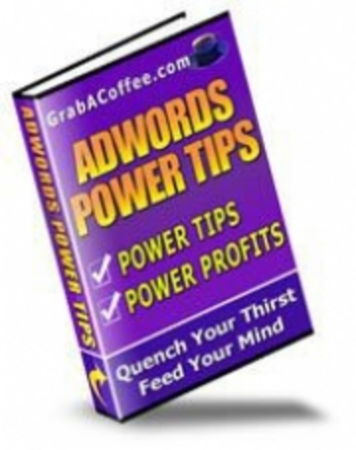 Product picture **NEW** Adwords Power Tips With Master 2011