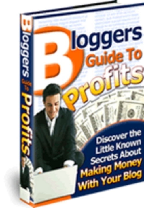 Product picture *NEW* Bloggers Guide To Profits +  MRR 2011