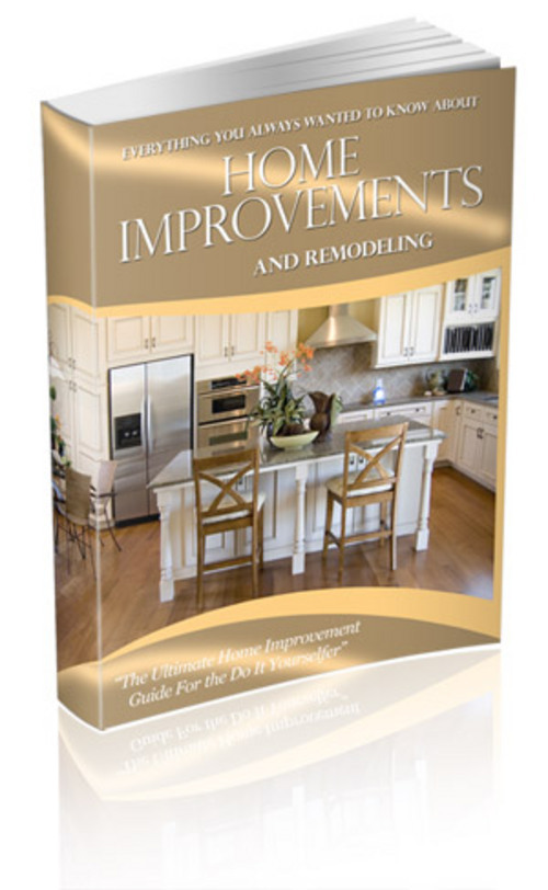 Product picture *NEW* Home Improvement 130 articles Plr. 2011